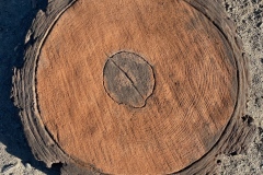 stepping_stone_redwood_round